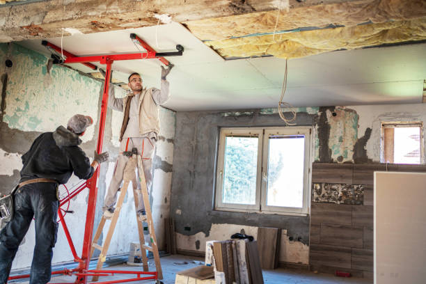 Best Home Insulation Services  in Hernando, MS