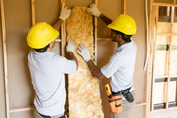 Best Insulation Replacement Services  in Hernando, MS