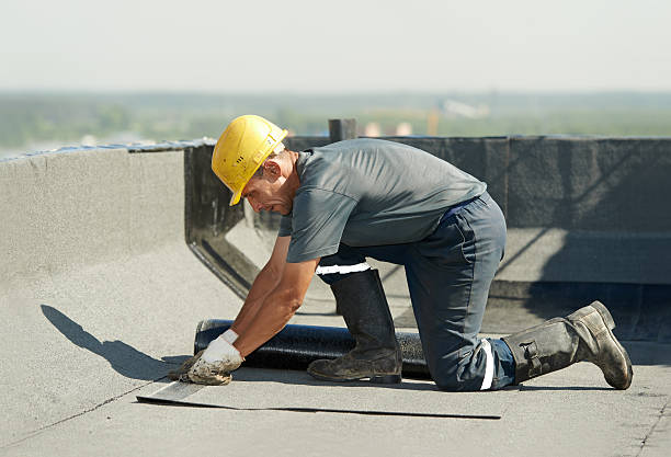 Best Insulation Repair Services  in Hernando, MS