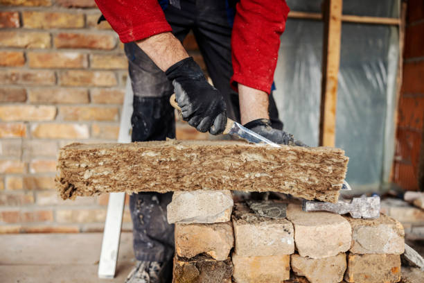 Best Cellulose Insulation  in Hernando, MS